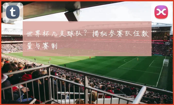 世界杯几支球队？揭秘参赛队伍数量与赛制