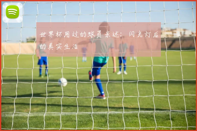 世界杯用过的球员亲述：闪光灯后的真实生活