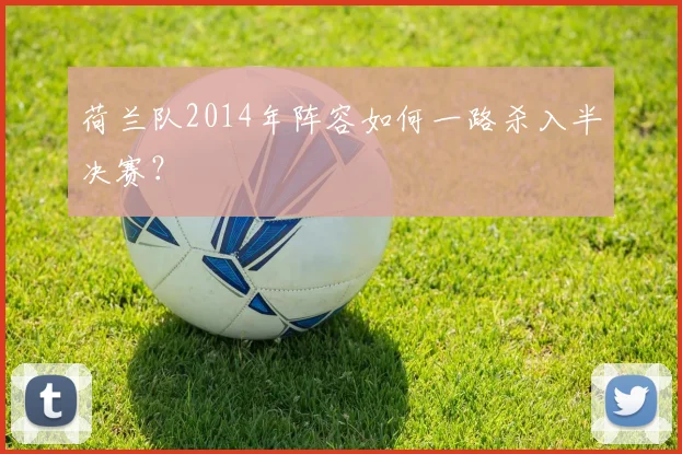 荷兰队2014年阵容如何一路杀入半决赛？