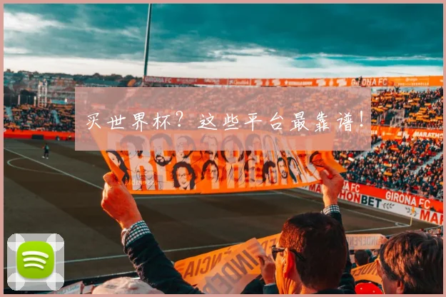 买世界杯？这些平台最靠谱！