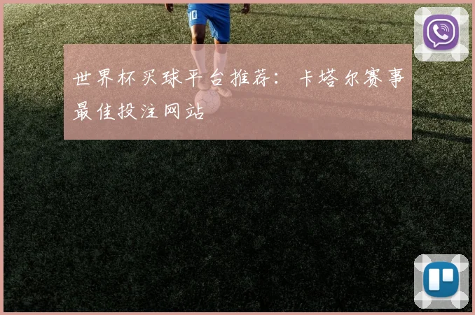 世界杯买球平台推荐：卡塔尔赛事最佳投注网站