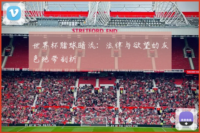 世界杯赌球暗流：法律与欲望的灰色地带剖析