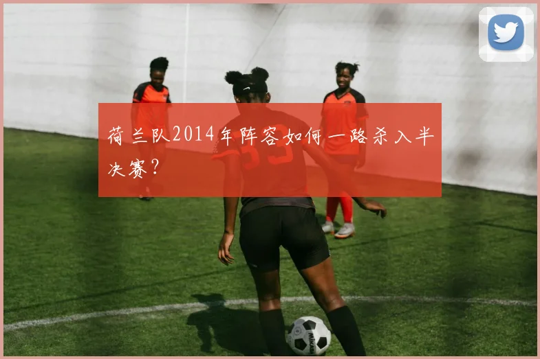 荷兰队2014年阵容如何一路杀入半决赛？