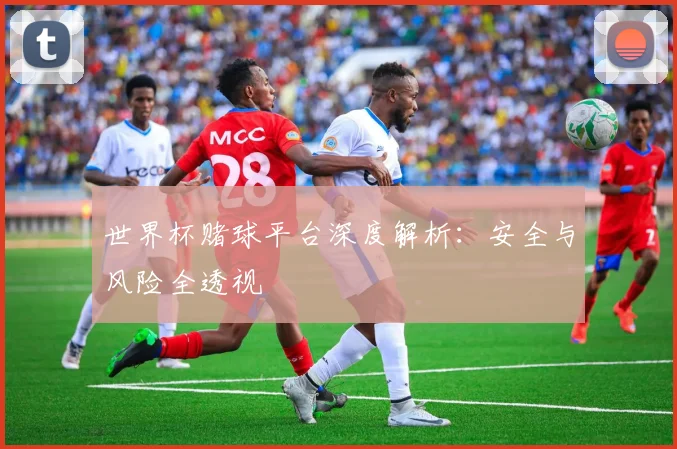 世界杯赌球平台深度解析：安全与风险全透视