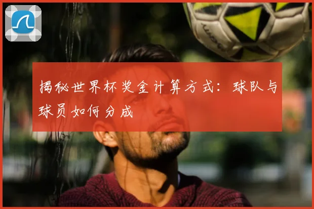 揭秘世界杯奖金计算方式：球队与球员如何分成