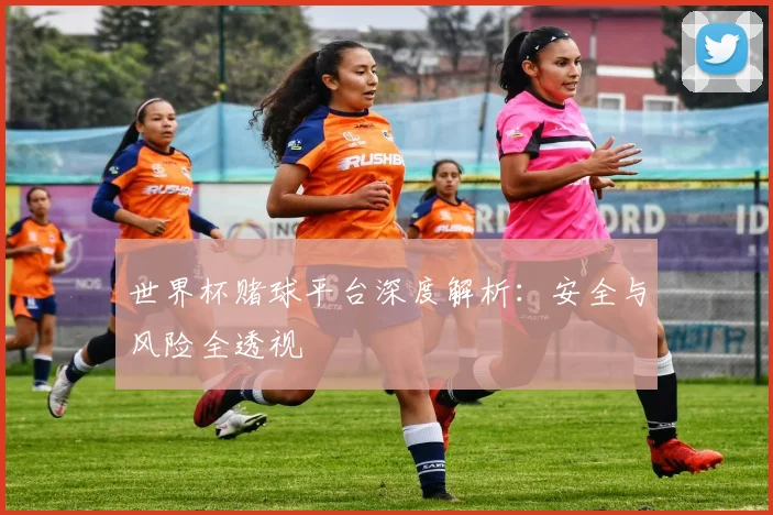 世界杯赌球平台深度解析：安全与风险全透视