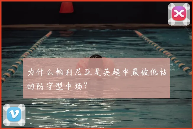 为什么帕利尼亚是英超中最被低估的防守型中场？
